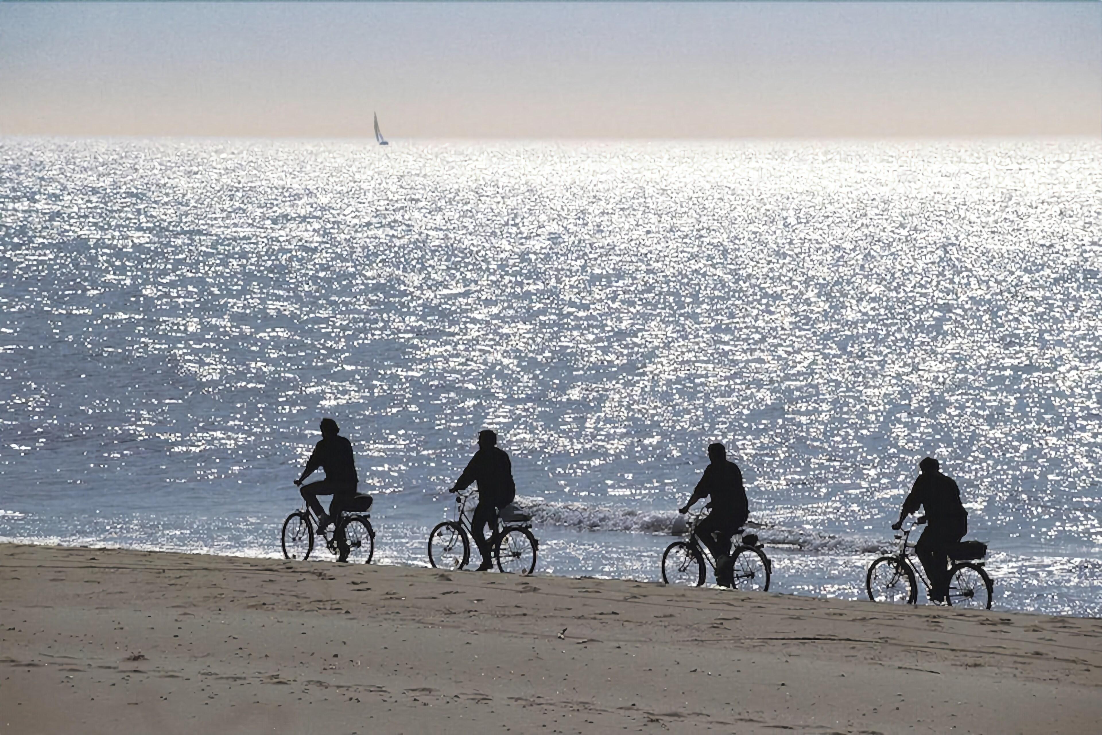 Strandhafer Aparthotel