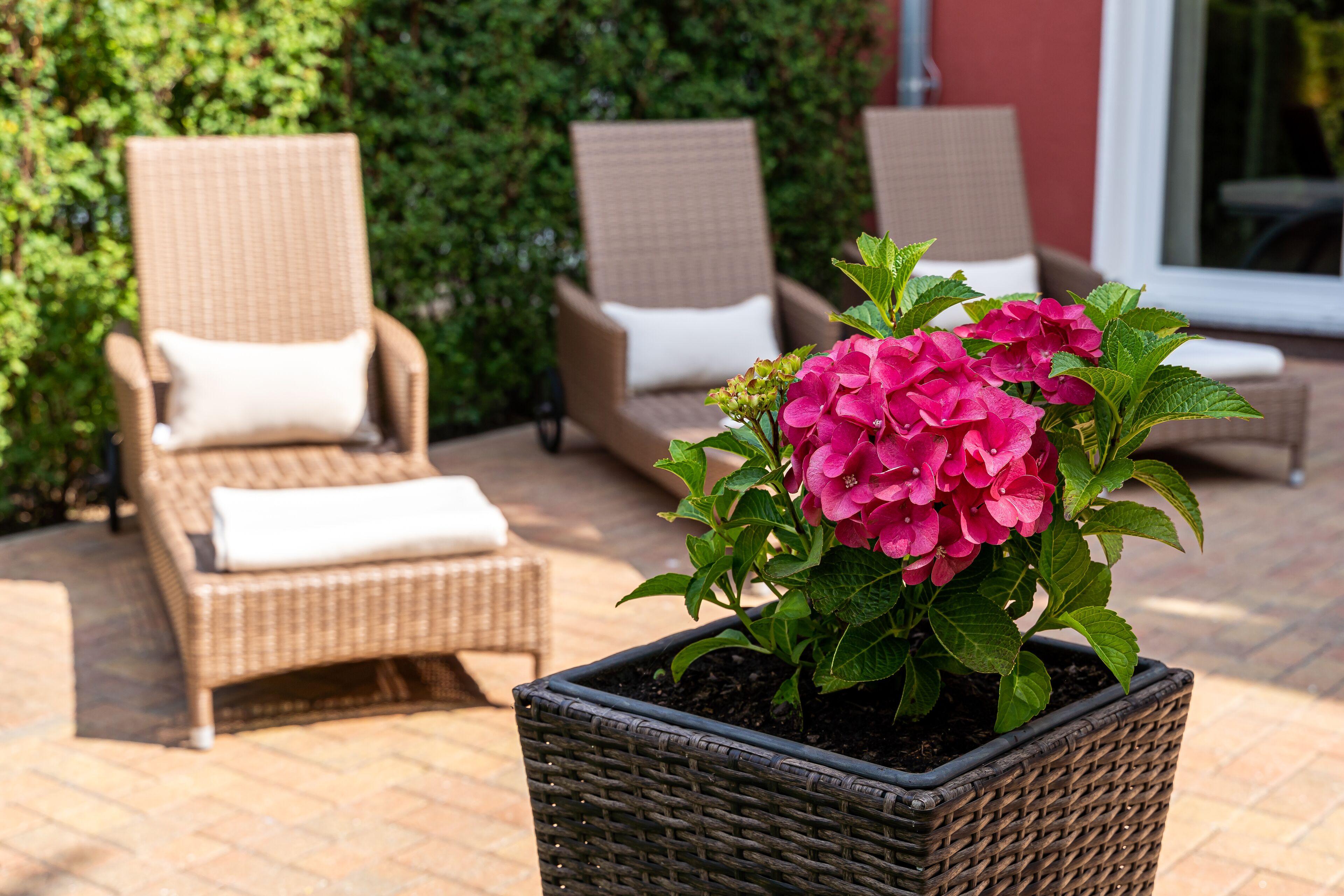 Aparthotel Strandhafer 3*