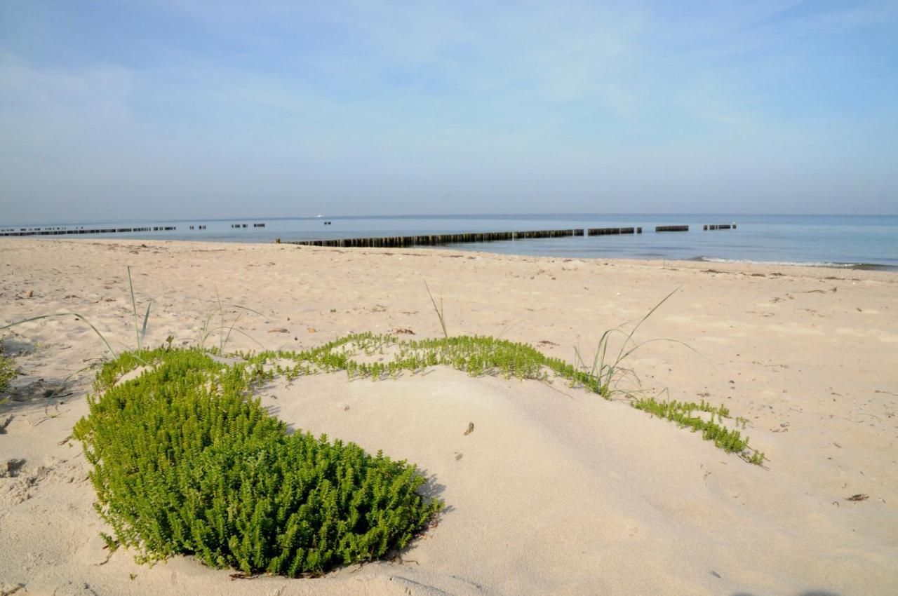 Aparthotel Strandhafer Rostock